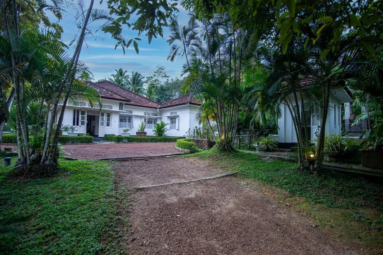 Village Headman'S Five Bedrooms Entire Bungalow Induruwa Exterior foto