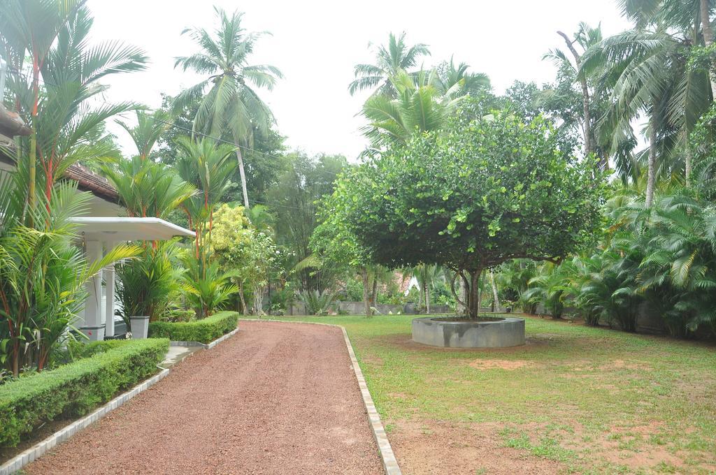 Village Headman'S Five Bedrooms Entire Bungalow Induruwa Exterior foto