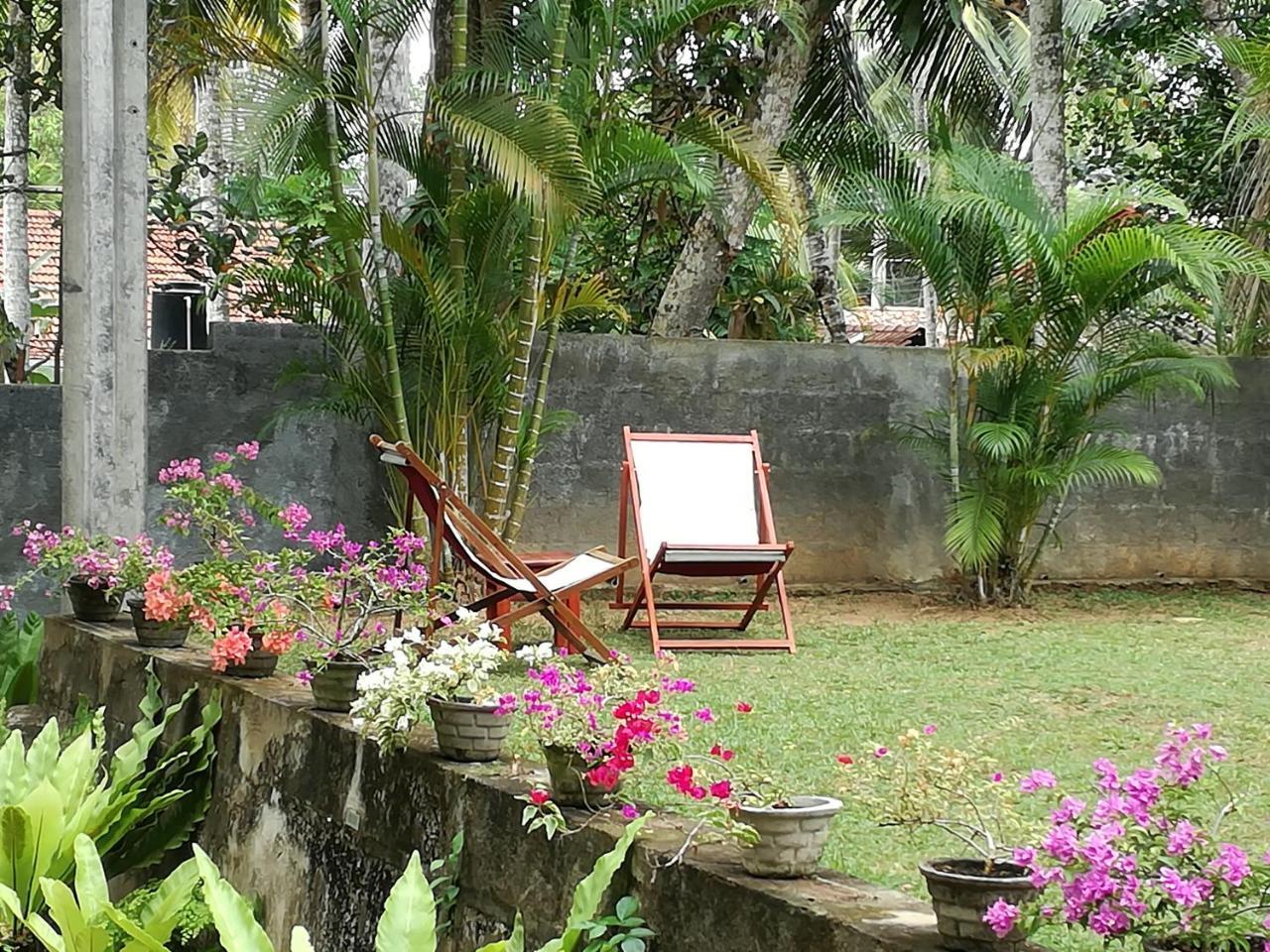 Village Headman'S Five Bedrooms Entire Bungalow Induruwa Exterior foto